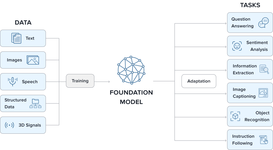 foundation model