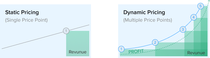 dynamic pricing and static pricing