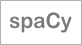 spaCy logo