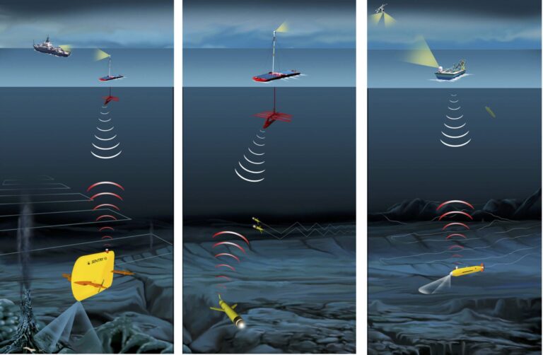 Deep Dive: Impact AI on Marine Ecology - Amazinum