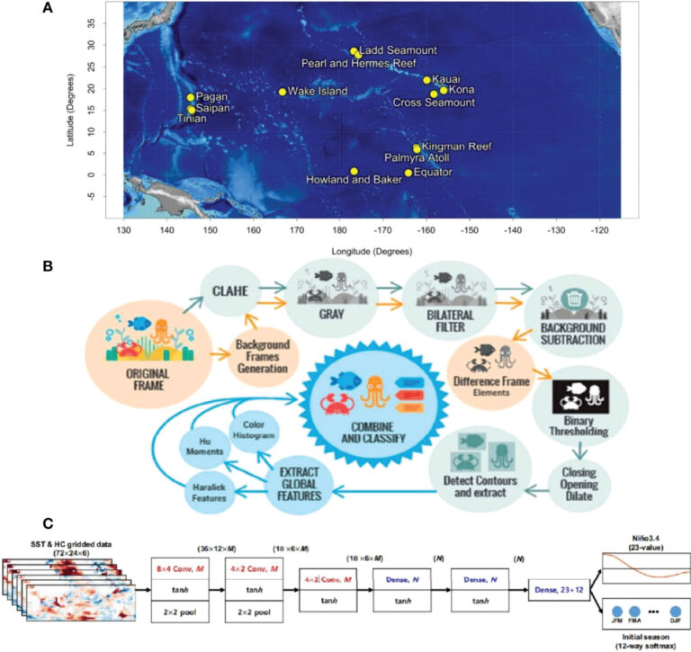 Deep Dive: Impact AI on Marine Ecology - Amazinum
