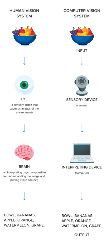 Human Vision vs Computer Vision mobile