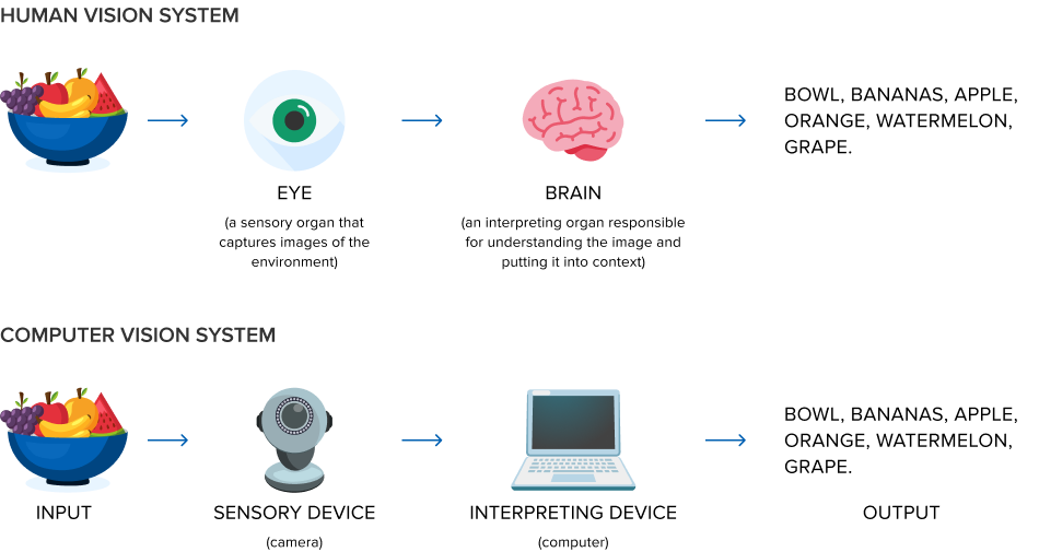 Human Vision vs Computer Vision