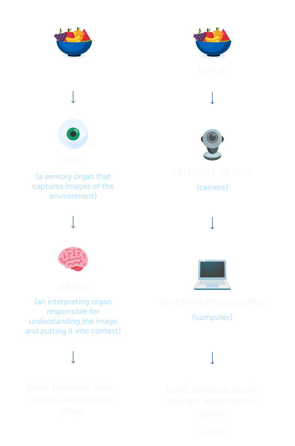 Human Vision vs Computer Vision